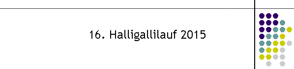 16. Halligallilauf 2015
